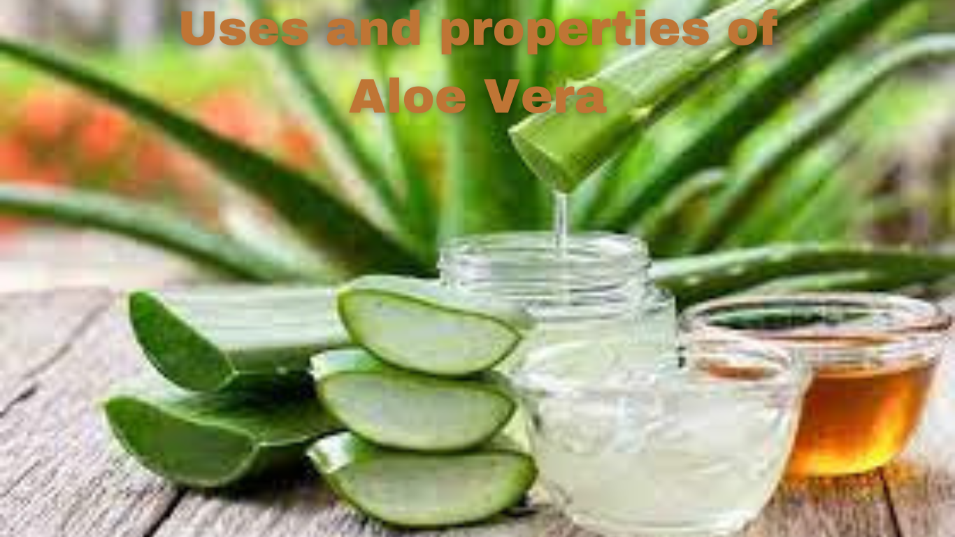 Uses and properties of Aleo Vera