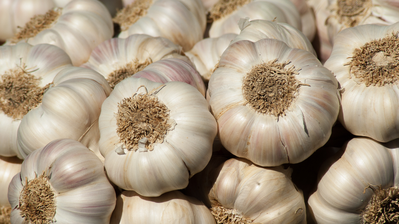 Garlic Benefits: Uses, Nutritional Value, Properties and How to Use Garlic